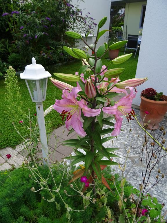 Ferienwohnung Traudl Singer Ίνσμπρουκ Εξωτερικό φωτογραφία